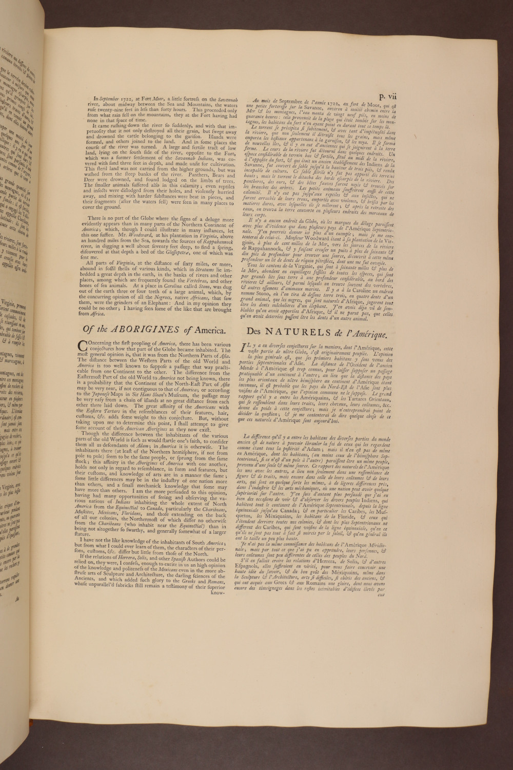 Page vii